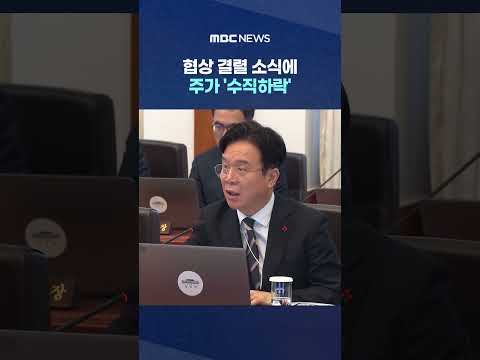 협상 결렬 소식에 주가 '수직하락'‥코스피 한때 7천 선도 위태 #Shorts (MBC뉴스) thumbnail