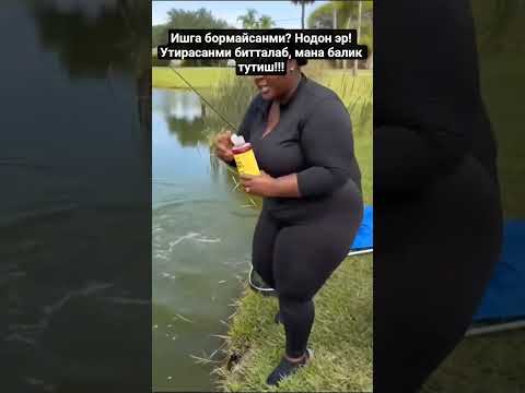 Хотинидан калтак еган балик овчи! #sazan #fishing #рыбалка #carpfishing #рыбалканафидер #qarmoq thumbnail