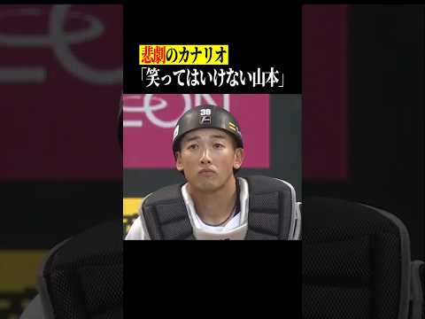 【究極珍】悲劇のカナリオ vs 意地でも笑わない山本祐大 #shorts thumbnail