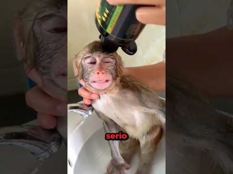 Ha fatto il suo primo BAGNO!🥺 thumbnail