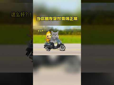 都要走了，还不帮兄弟一把。借几个网代#猫meme小剧场 #猫meme #当你的朋友突然变正常 #反转 #兄弟 thumbnail