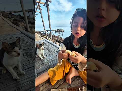 Mulia sekali Aulia kasih makan kucing #trendingshorts thumbnail