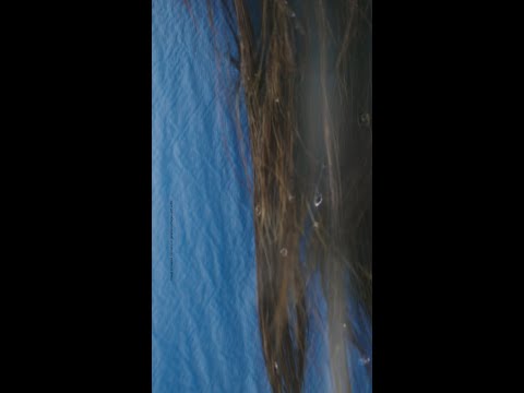 Water resistance | Galaxy A57 | A37 5G | Samsung thumbnail
