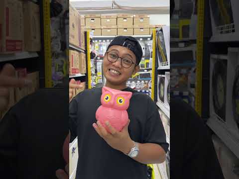 Kebalik gak sih?🤔 thumbnail