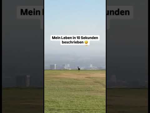 So in etwa ?? #leben #reality #tiere #humor #fun #spaß #fypage #fyp #viral #viralshorts #deutschland thumbnail