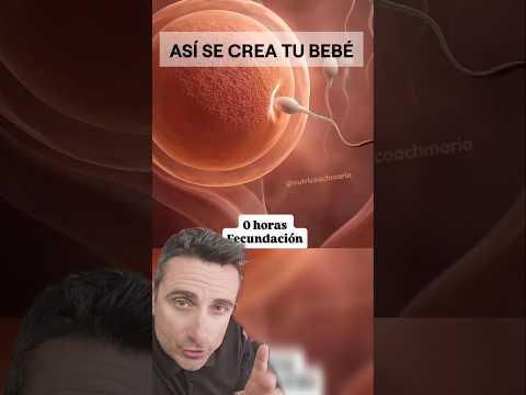 Así se crea tu bebé.#supervivencia #curiosidades #sabiasque thumbnail