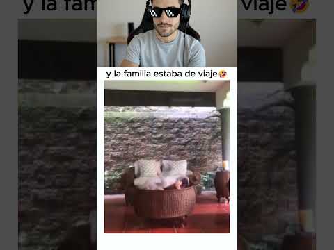 Intenta No reirte Pt.238😹💀🤣 #intentanoreír #siteriespierdes #risas #gracioso #chistoso thumbnail
