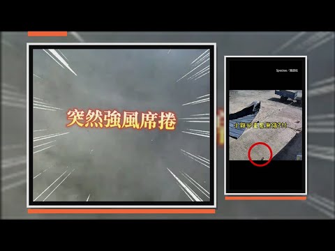 狂風突襲庭院連屋頂金屬板都飛了！　小雞竟「奇蹟逃生」跑回屋裡 thumbnail