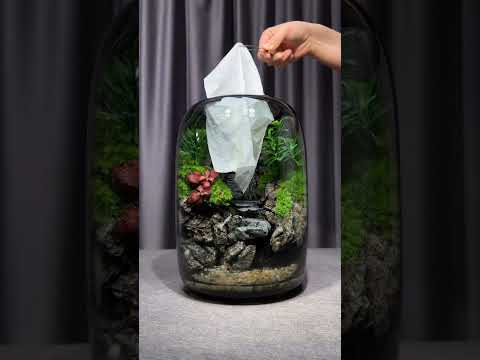 1️⃣Micro Landscape Green Oasis Glass Vase thumbnail