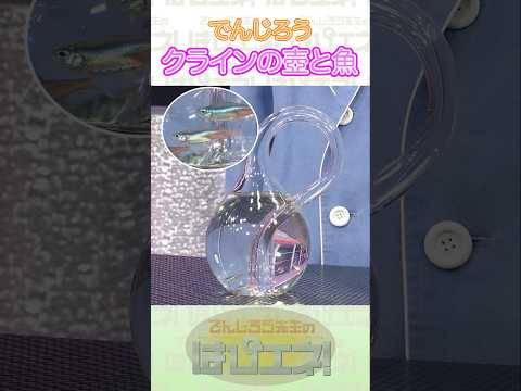 ↑本編はリンクから↑クラインの壺と魚 #Shorts #でんじろう先生 #実験 #science #はぴエネ #科学 thumbnail