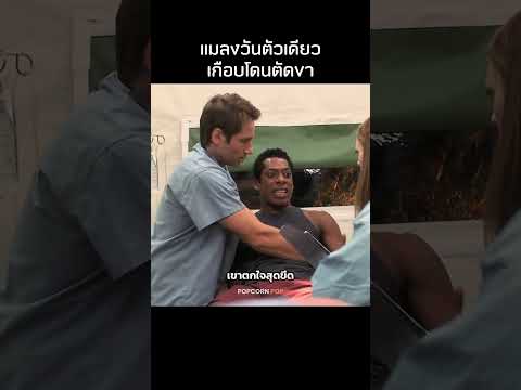 แมลงวันตัวเดียวเกือบโดนตัดขา #รีวิวหนัง #movie #สปอยหนัง thumbnail