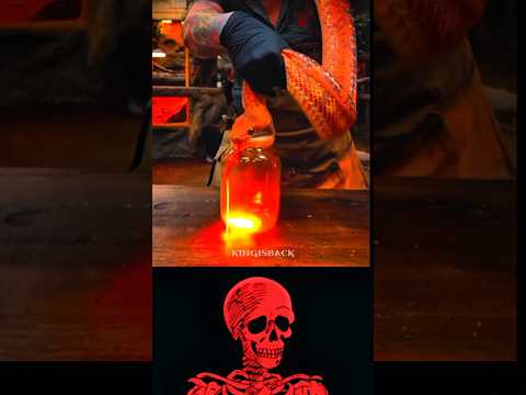 Fire Snake #aesthetic thumbnail