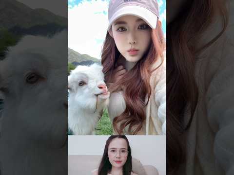 염소가 그녀의 머리카락을 씹어 먹었다. #웃긴영상 #ショート動画 #おすすめ #バズる #面白い  #웃긴영상 #한국쇼츠 #유머 #짧은영상 thumbnail