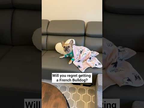 Will You Regret It? **Click Link Above To Find Out thumbnail