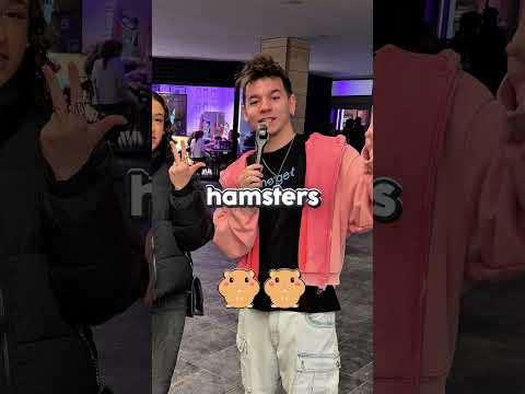 Cuantos HÁMSTER me quedan?🤔 thumbnail