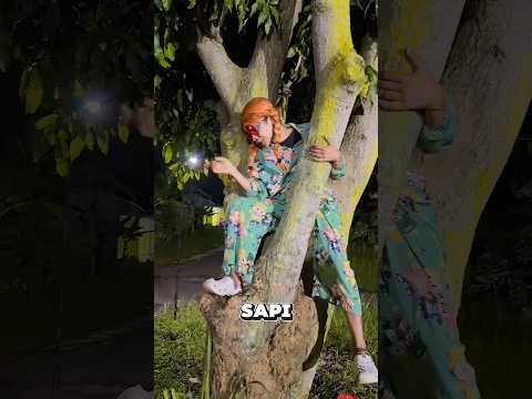 CERY JAGAIN SAPI MAU BEGADANG | NURRAYNI25 thumbnail
