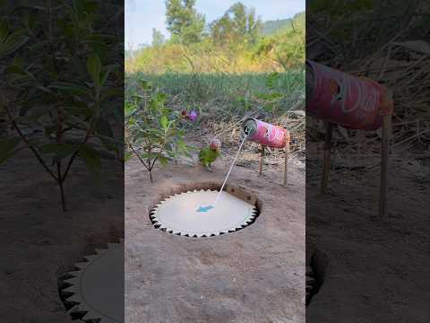 Technique CREATIVE Parrot Trap #shorts thumbnail