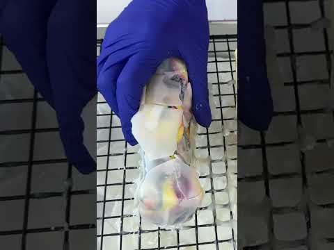 We Covered Our Butter Squishy in Wax! thumbnail