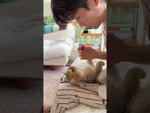 【牛奶是只猫】咪：我这嘴不能要了…… 人：听我解释…我不是故意的 thumbnail