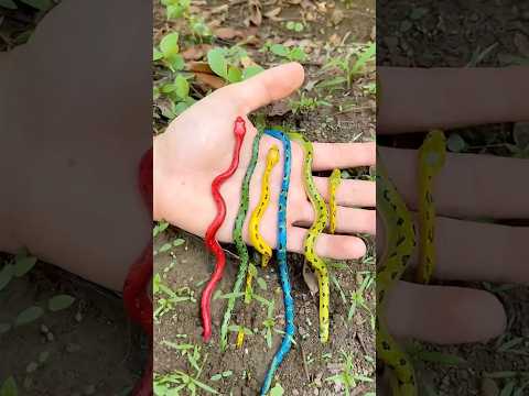 0mg 😭😭😭I'm afraid of these things.🦎🐛🐛🪱# funny # shortsyoutbe thumbnail