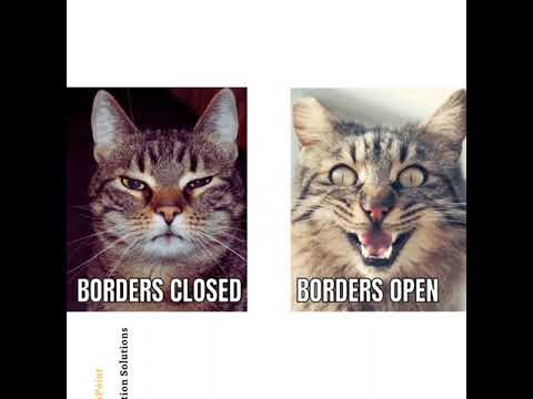 When borders are open and you are ready to fly #studyabroad #abroadstudies #abroadeducation #Canada thumbnail