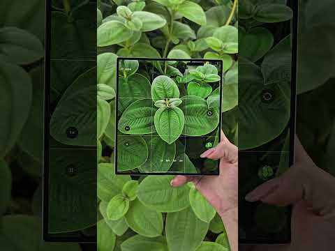 Digital Technology, Samsung, Samsung W25 Foldable Phone thumbnail
