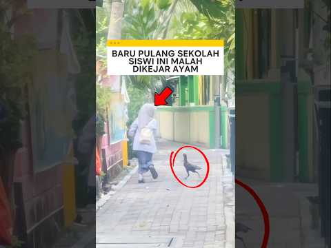 baru pulang sekolah siswi ini malah dikejar ayam ❗ #videoviral thumbnail