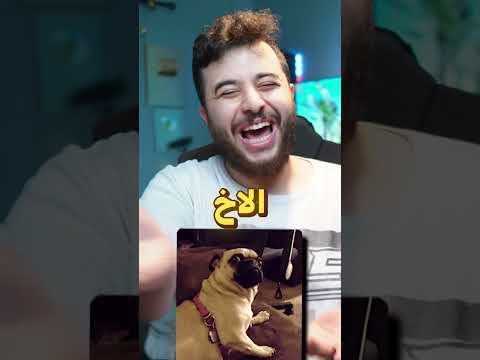 هذا اللي بيصير لما تطلب تبرع من التعليقات ! ?? thumbnail