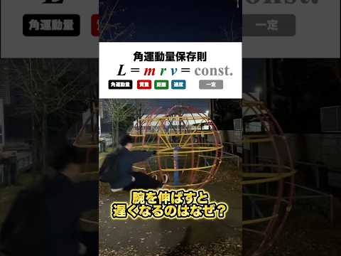 【物理】回転遊具で感じる角運動量保存！腕を伸ばすと遅くなるのはなぜ？ thumbnail