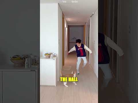 The Cat Planned Revenge ? thumbnail
