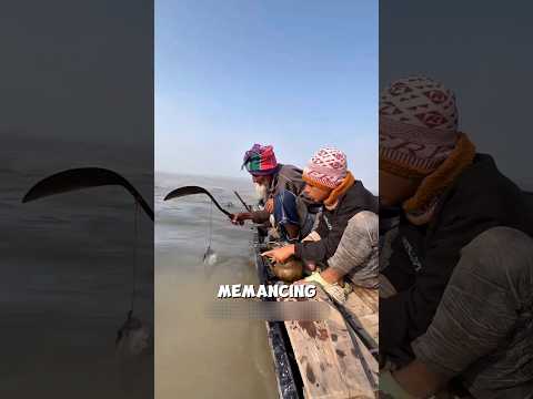 Kakek Ini Punya Cara Memancing yang Sangat Tidak Biasa ? thumbnail