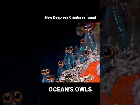 New deep sea creatures found ?? | #deepsea #shorts #trending #shortvideo #explore #youtubeshorts thumbnail