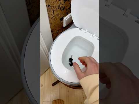 From Gross Keys to Huh?! 🤢🚽 thumbnail