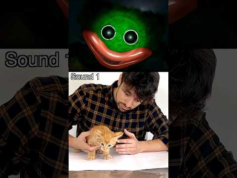 Mini Huggy Wuggy  sound in real life #poppyplaytime thumbnail