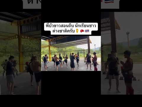 💪 ลุย #Shorts | Buakaw Banchamek thumbnail