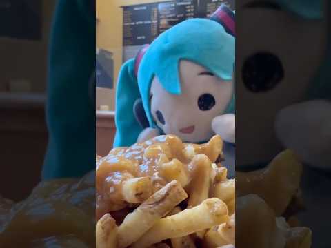 MIKU EXPO 2026 北米ツアー開催中！ツアーの様子をお届け 第2弾✨️ thumbnail