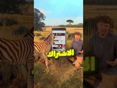 حمار وحشي مع ميث و مستر بيست 😂 thumbnail