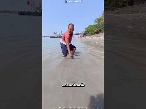 Cuánto Dinero Puedes Encontrar Con Un Imán? thumbnail