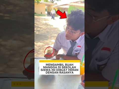 mengambil buah mangga di sekolah para siswa ini dibuat heran dengan rasanya ❗ #sekolah #videoviral thumbnail