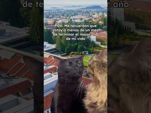 Esa frase que nadie quiere escuchar… thumbnail