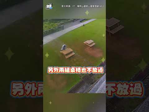 清晨5點驚見"古人"打掃擎天崗！幫消毒桌椅、撿垃圾 網讚：謝謝好心人 #shorts thumbnail