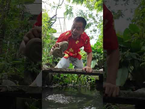 Đừng Hoảng Sợ Tôi Sẽ Tìm Giày Cho Bạn #haongchu thumbnail