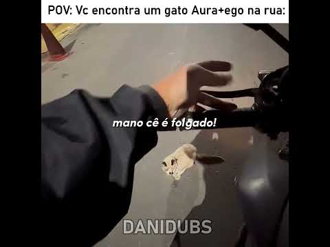 Ele encontrou um gato poderoso demais 🥶 #edit #humor #memes #fyp #animals thumbnail