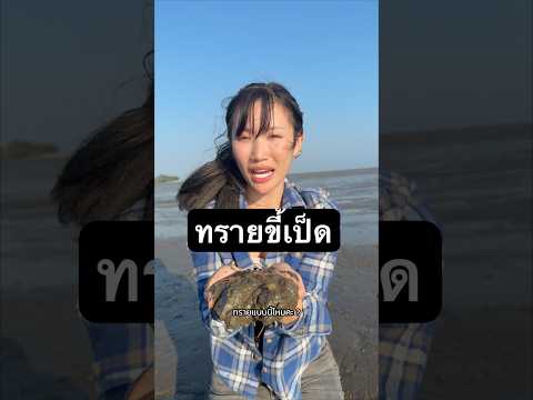 ทรายขี้เป็ด ที่ดอนหอยหลอด thumbnail