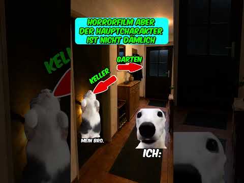 Horrorfilm aber der Hauptcharakter ist nicht dämlich #katzenvideos  #lustigevideos  #shorts thumbnail