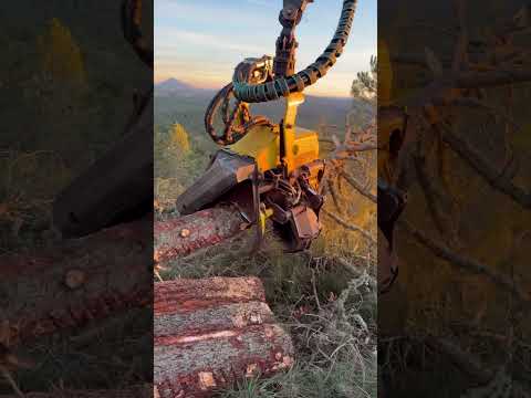 John Deere 1270G at Work ☀️ Unstoppable Logging Power #johndeere #forest #harvester #wood #tree thumbnail