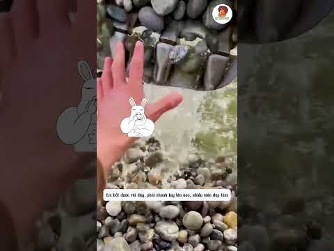 Múc Trúng Hàng Loạt Viên Đỏ, Viên Vàng Và Cái Kết Bất Ngờ thumbnail