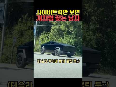 사이버트럭만 보면 개처럼 짖는 남자 thumbnail