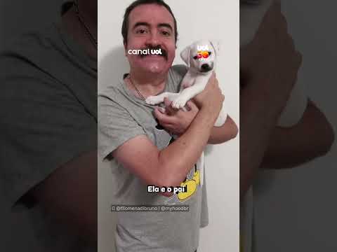 Nem precisa DNA! Tutor brinca que cachorrinha herdou seu bigode thumbnail