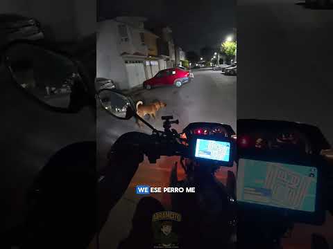 Casi me infarto ?  #viral #motovlog thumbnail